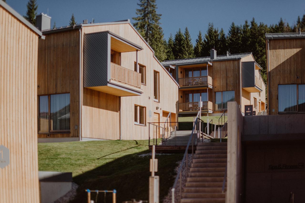 Rittis Alpin Chalets Dachstein Ramsau am Dachstein Kültér fotó